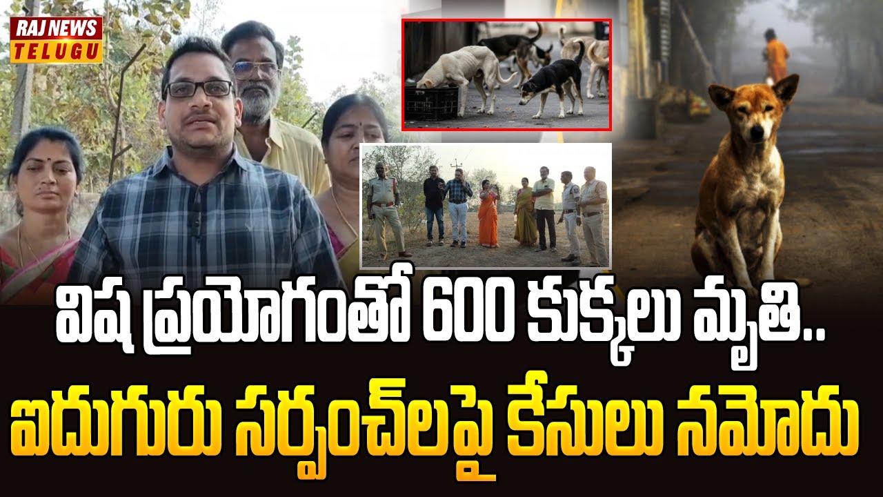 విష ప్రయోగంతో 600 కుక్కలు మృతి.. ఐదుగురు సర్పంచ్‌లపై కేసులు నమోదు | Kamareddy District | Raj News