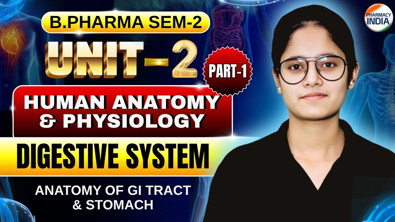 Anatomy Of GI Tract & Stomach I Functions I HAP I Part -1 I Unit- 2 I B.Pharm I Sem-2 #humananatomy