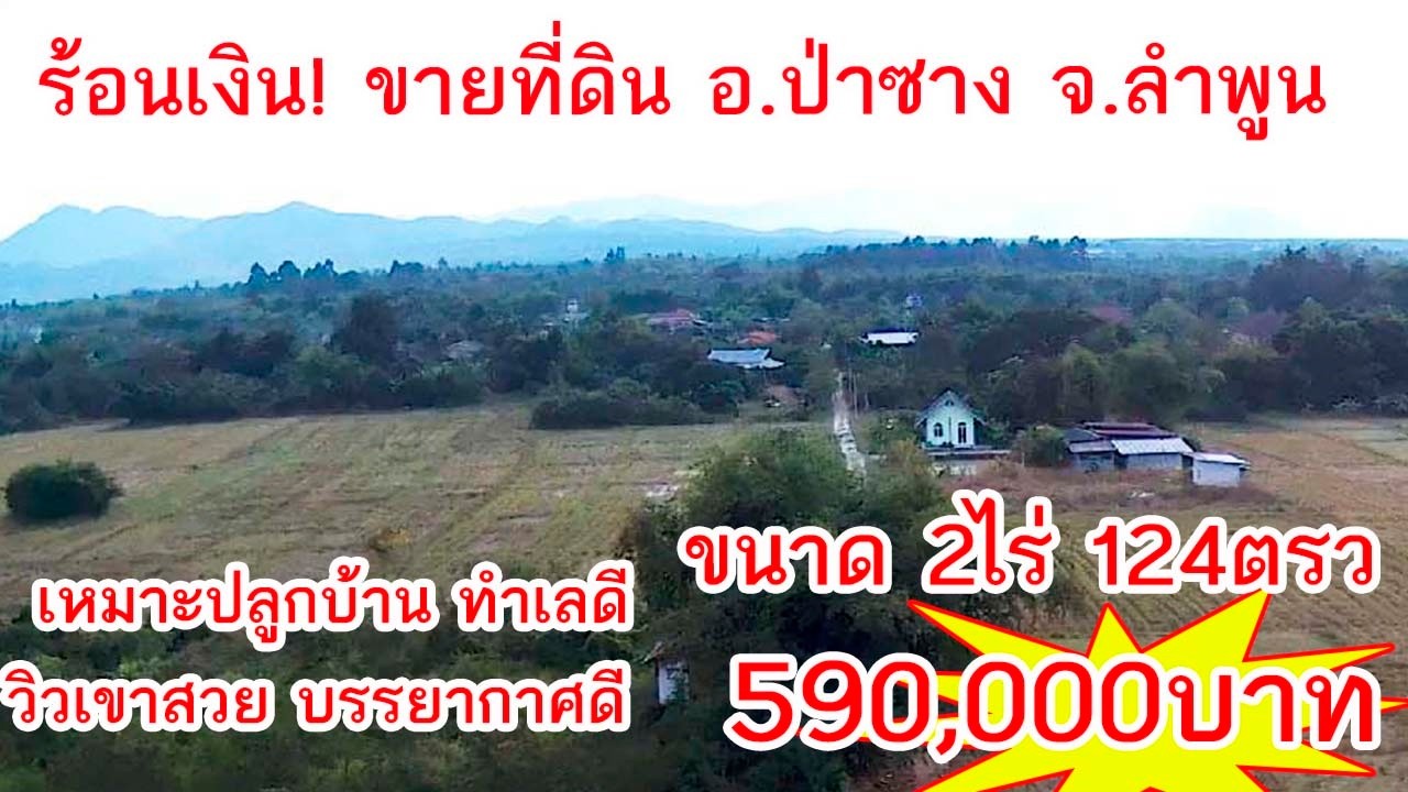 ร้อนเงิน! ขายด่วน ขายที่ดิน 2ไร่ 124ตรว อ.ป่าซาง จ.ลำพูน ลดราคาเหลือ 590,000บาท #ขายที่ดินราคาถูก