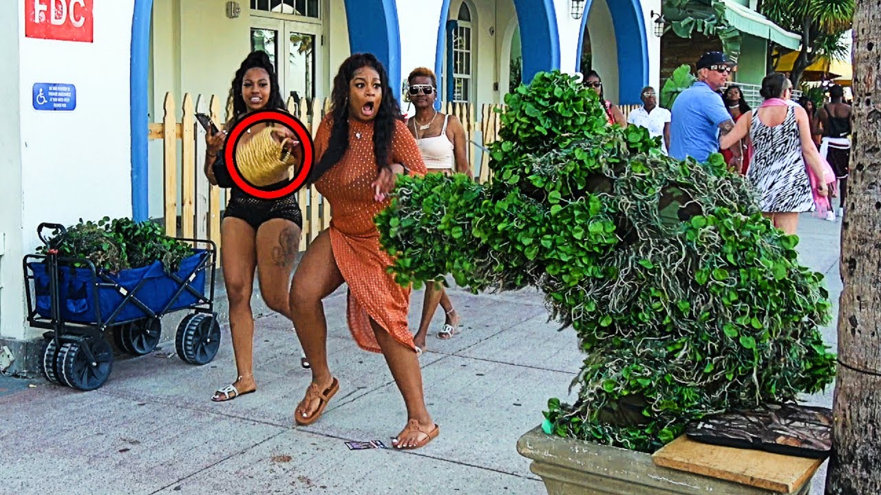 She threw her purse at me: Bushman scare prank