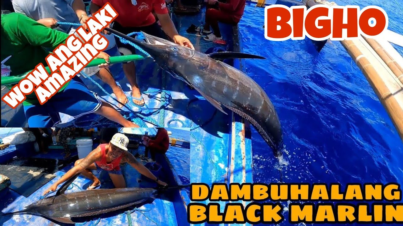 Big Catch! Traditional Black Marlin Fishing in west philippine sea Don tv