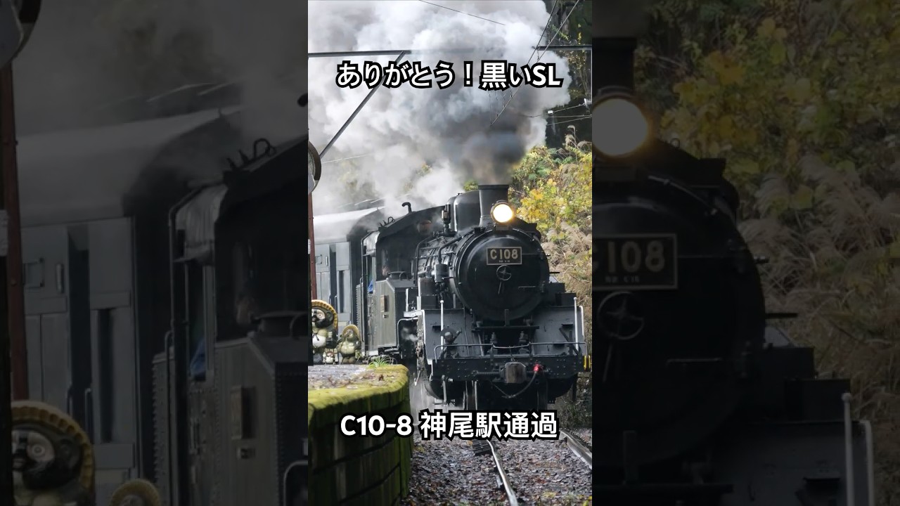4Kshorts ありがとう！C10 神尾駅爆煙！[Japanese Steam locomotive] Oigawa railway class C10 passing Kamio station