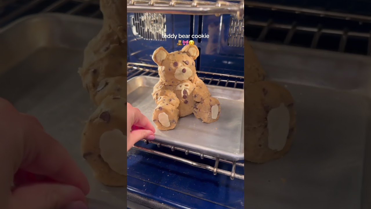 Teddy bear Cookie *GONE WRONG* 😢