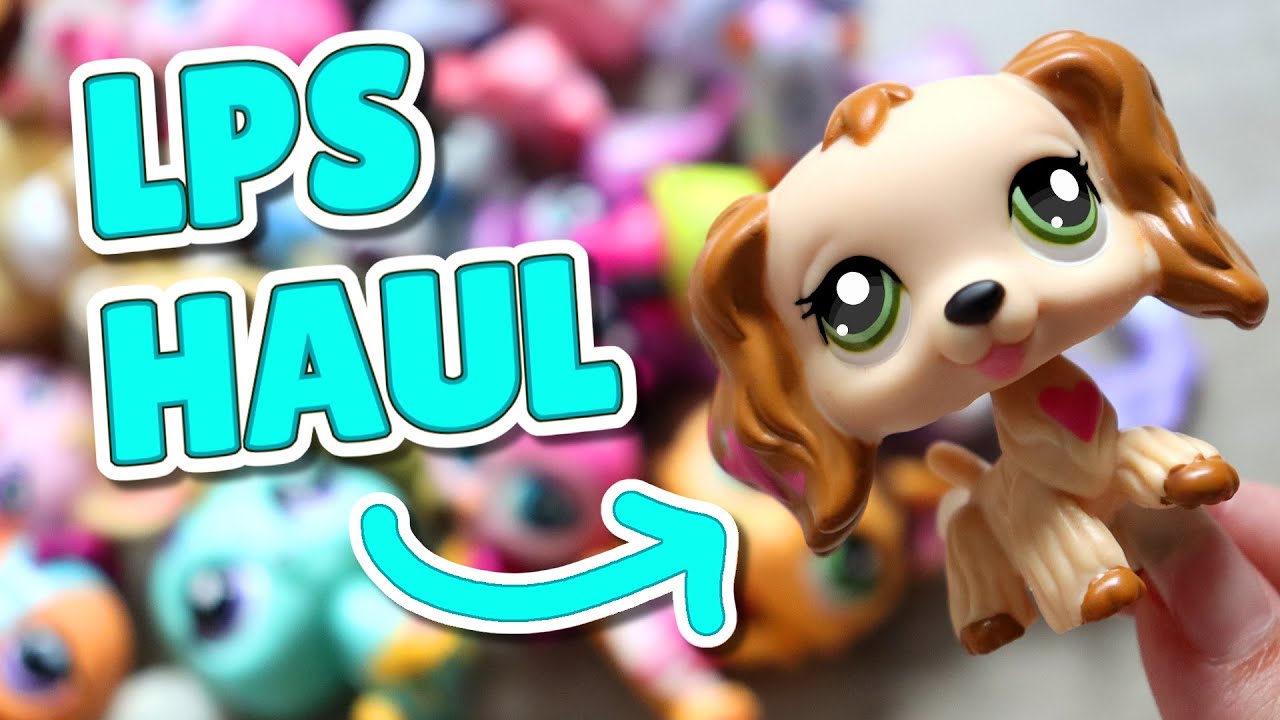 The Luckiest LPS Haul of 2025