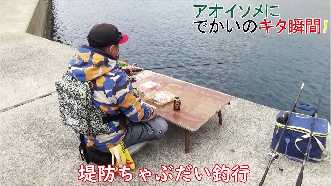 湾内からアオイソメの投げ釣りしたら大型きた(484話目)
