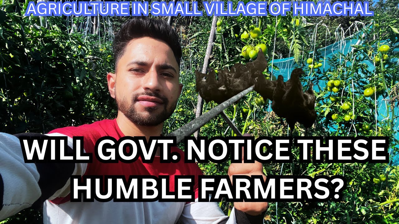 Empowering Small Farmers | Notice These Humble Farmers? | Agriculture In Small Towns Of Himachal