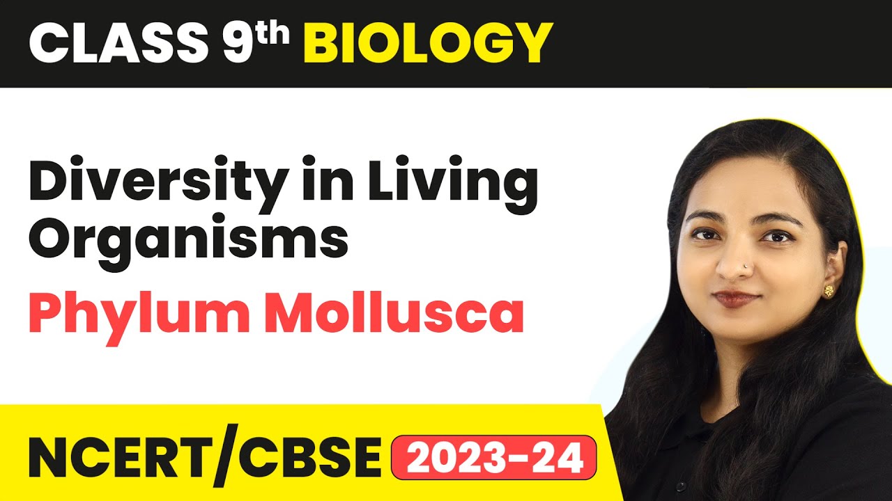 Phylum Mollusca - Diversity in Living Organisms | Class 9 Biology | 2023-24