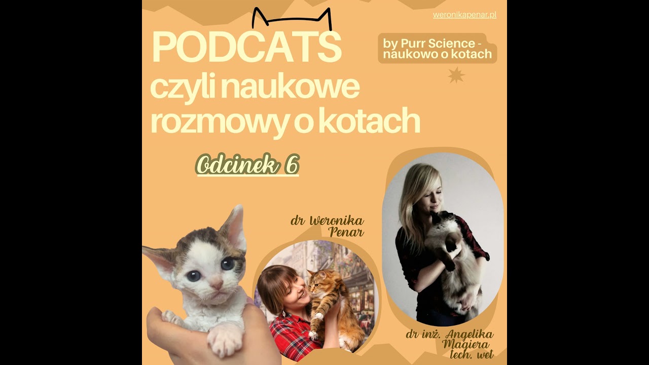 Kim jest koci behawiorysta?