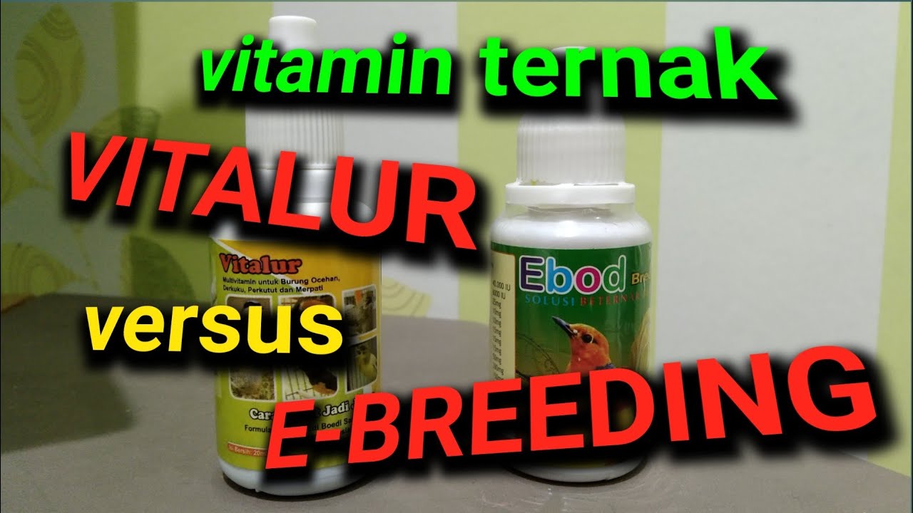 VITAMIN TERNAK KENARI YANG PALING BAGUS | VITALUR VS E-BREEDING