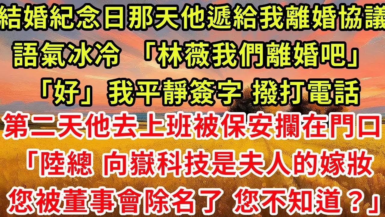 結婚紀念日那天，他遞給我離婚協議，語氣冰冷 「林薇，我們離婚吧」「好」我平靜簽字 撥打電話，第二天他去上班被保安攔在門口，「陸總 向嶽科技是夫人的嫁妝，您已經被董事會除名了 您不知道？」
