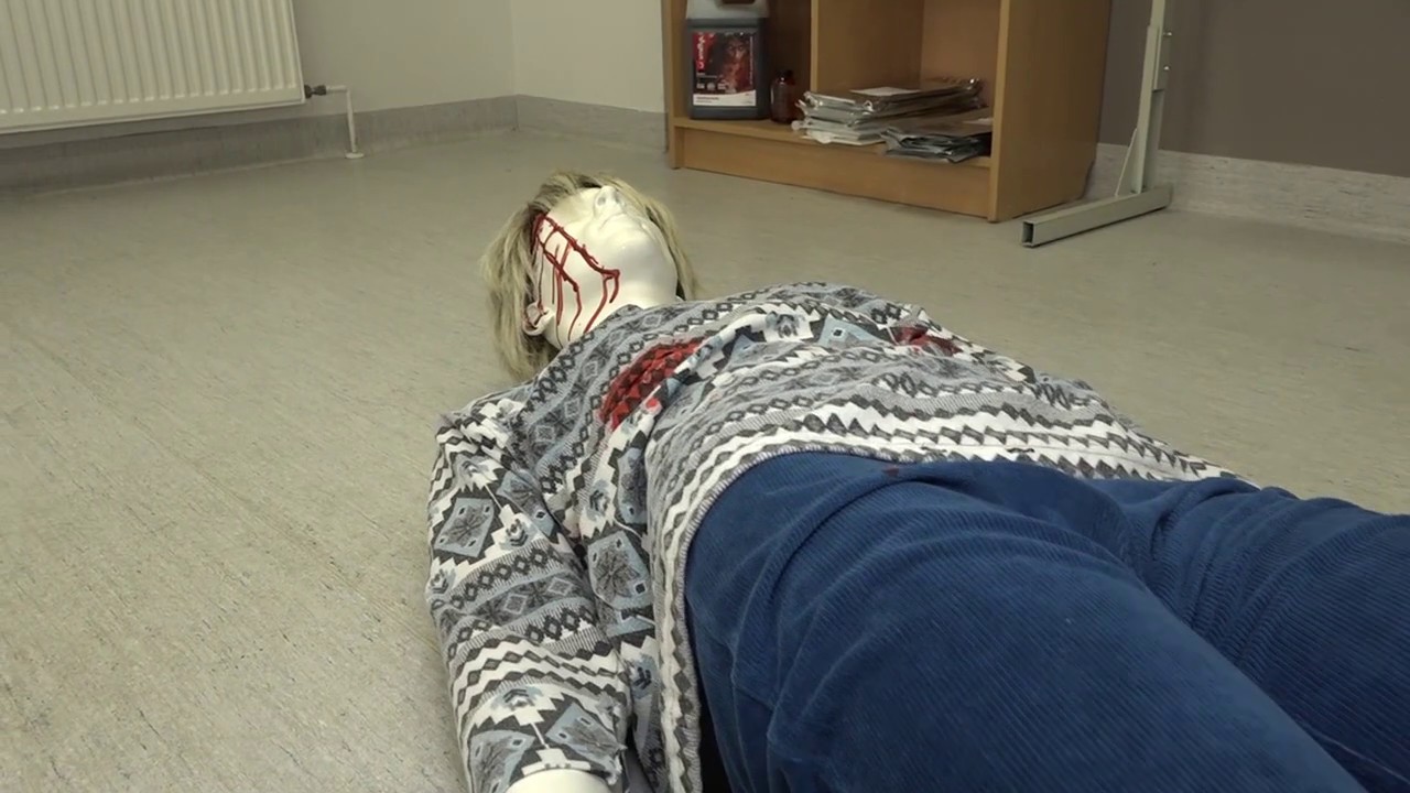 RSU Juridiskās fakultātes studiju vide