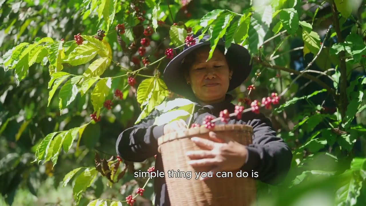 How Fairtrade Is Supporting Coffee Farmers for a More Sustainable Future