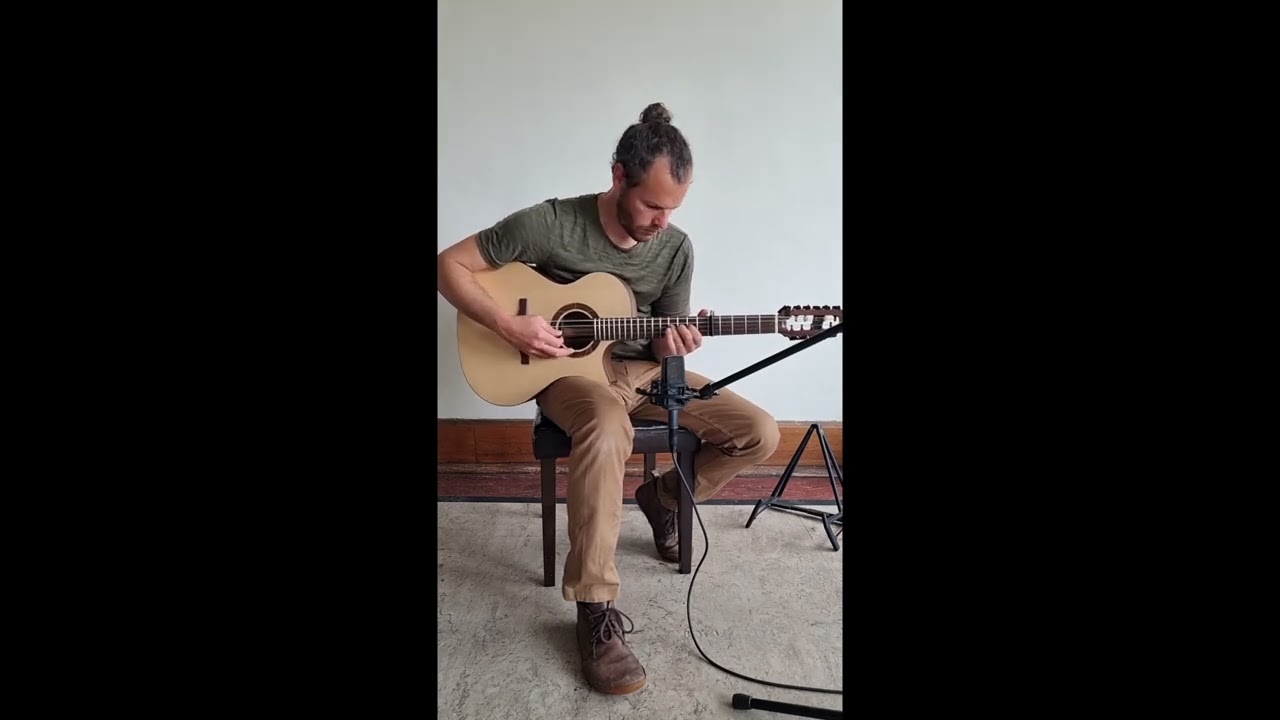 Guitar-Cittern playing “Kererū Swooping” | Tukituki Instruments