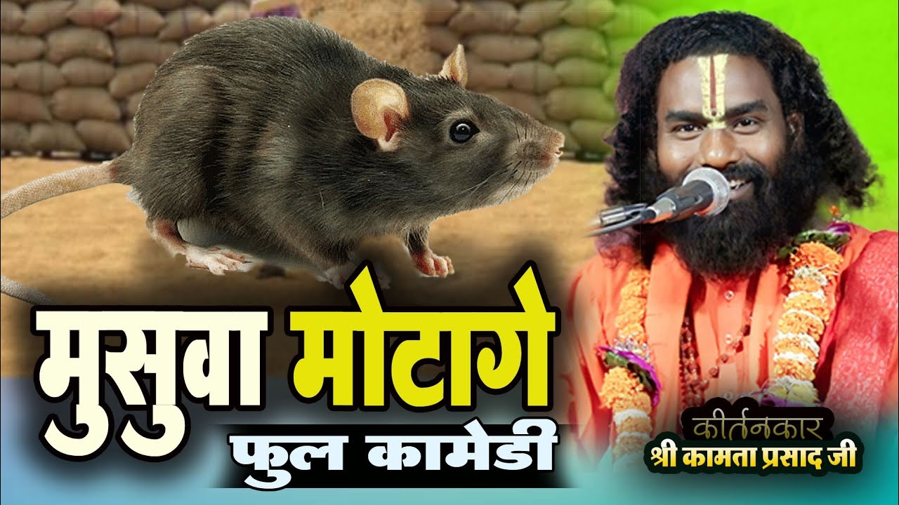 मुसुवा मोटागे | फुल कॉमेडी l #kamataprasad| 