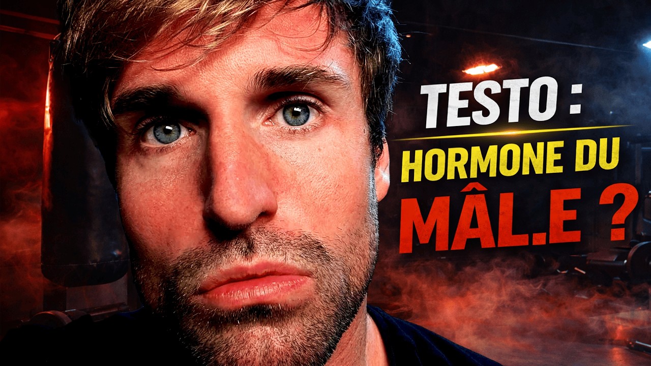 La testostérone rend-elle vraiment agressif ?