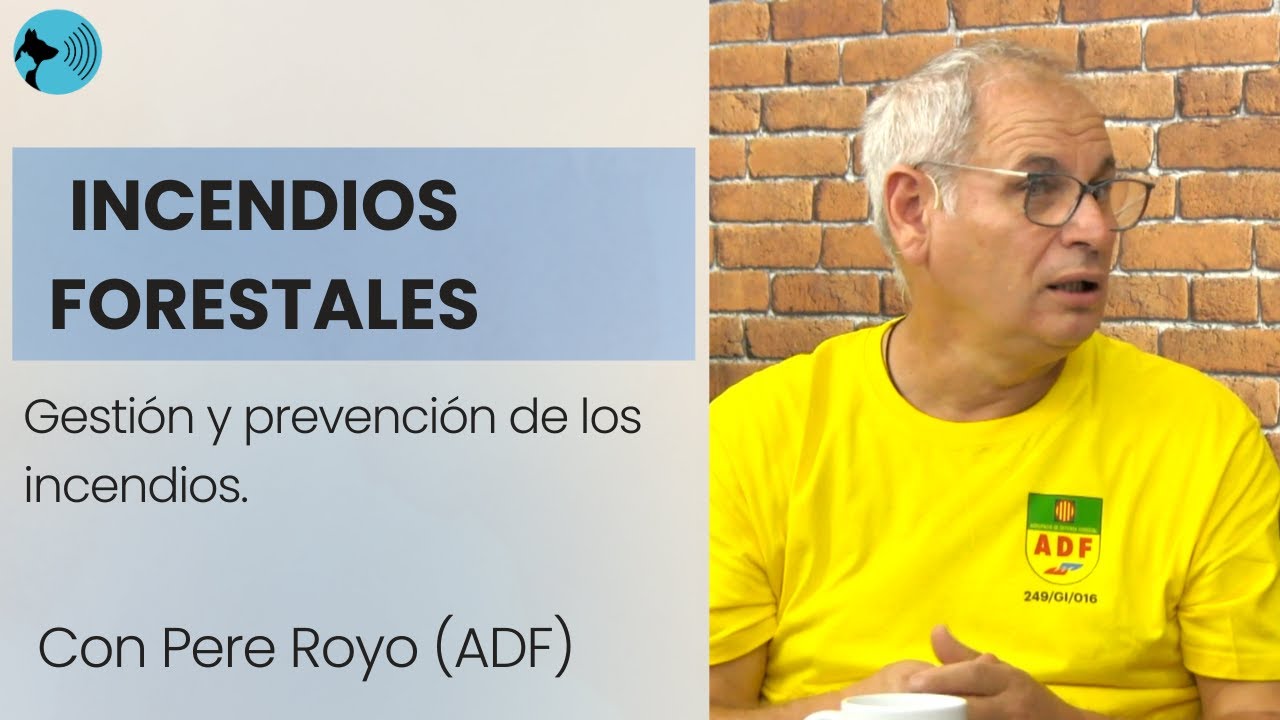 INCENDIOS FORESTALES