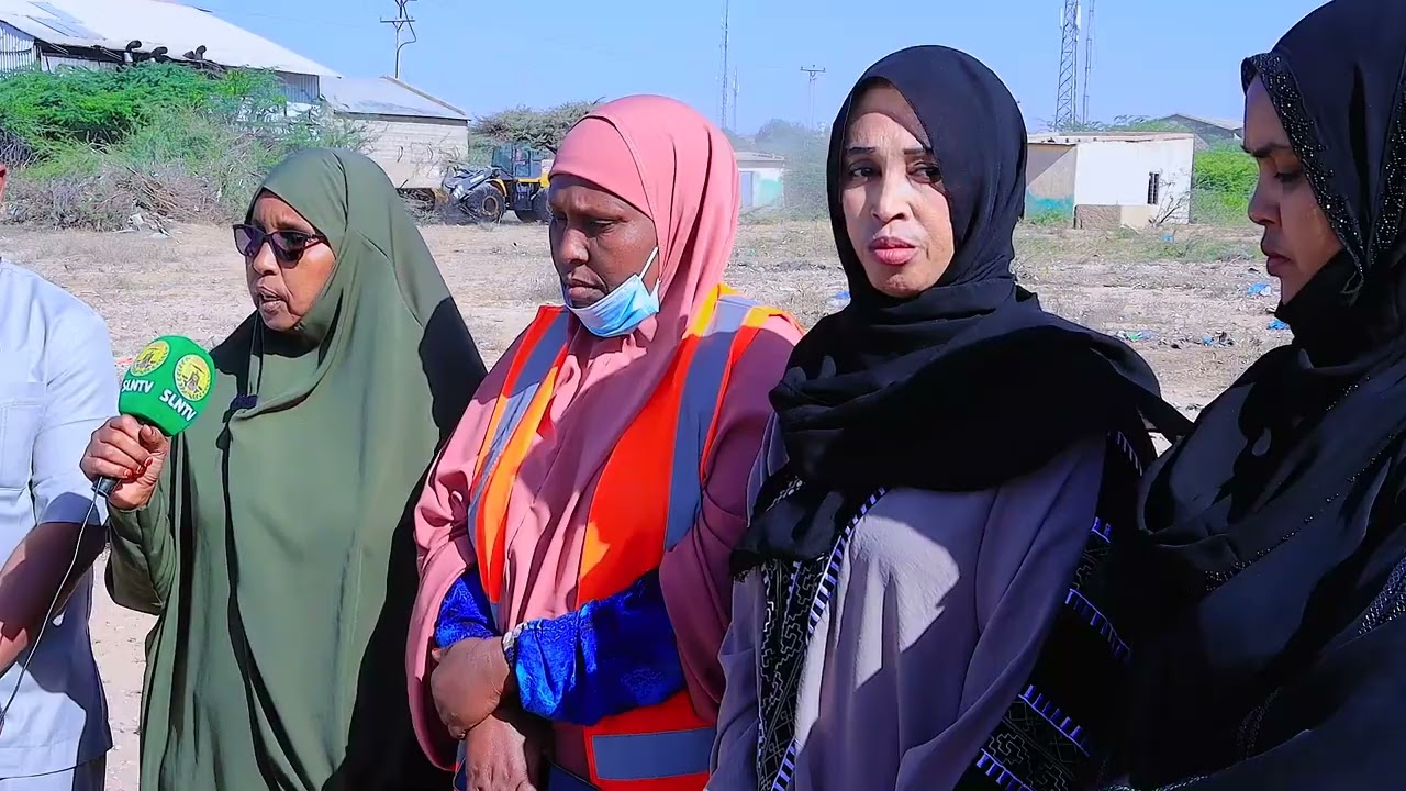 Dawlada Hoose ee Caasimada Hargaysa ayaa olole geedka garanwaaga ah ka filisaywasaarada warfaafinta