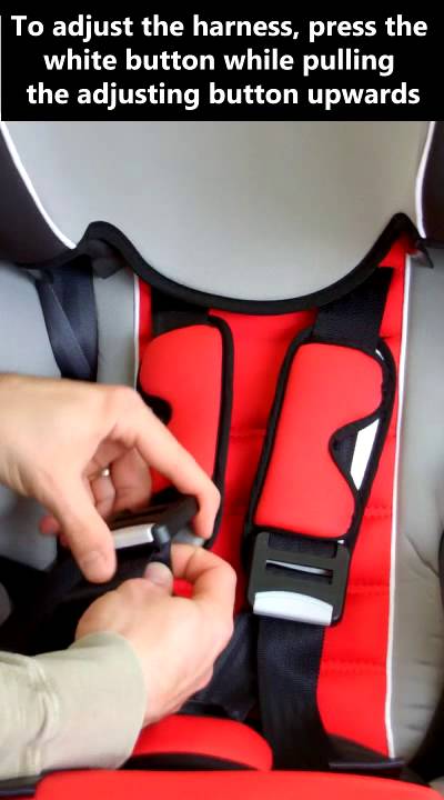 BELINE SP Fitting instructions