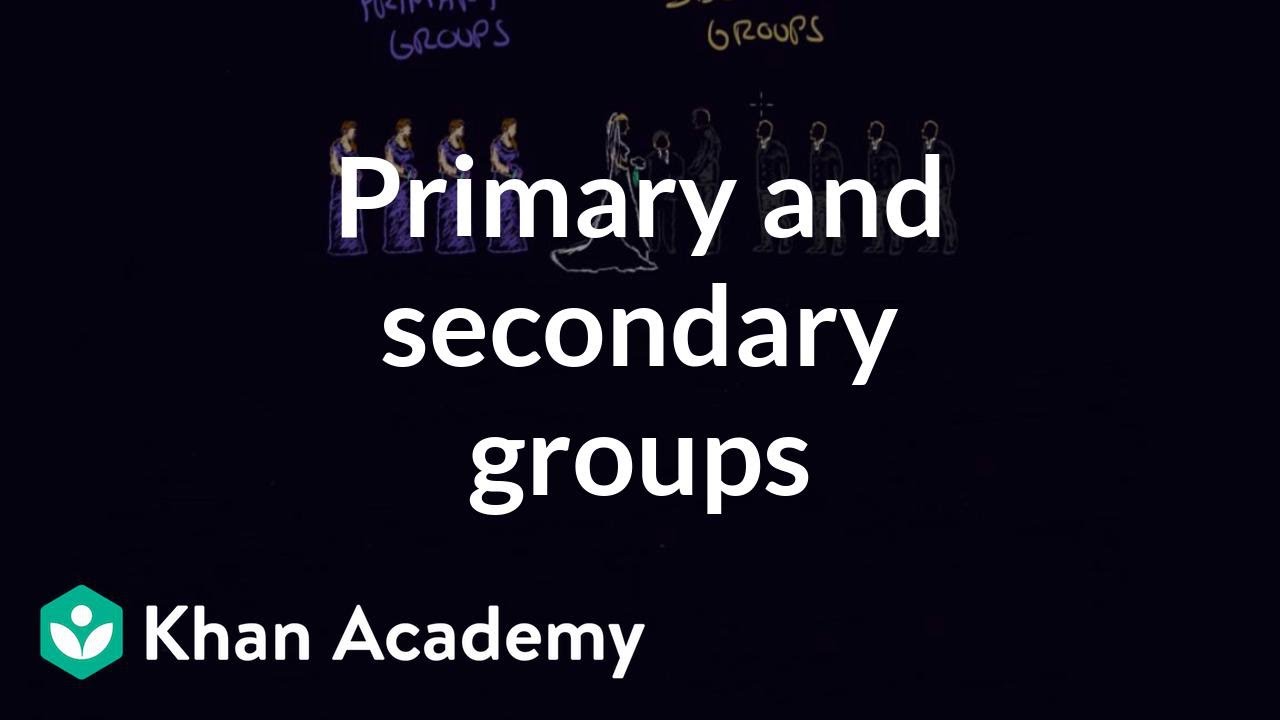Primary and secondary groups | Individuals and Society | MCAT | Khan Academy