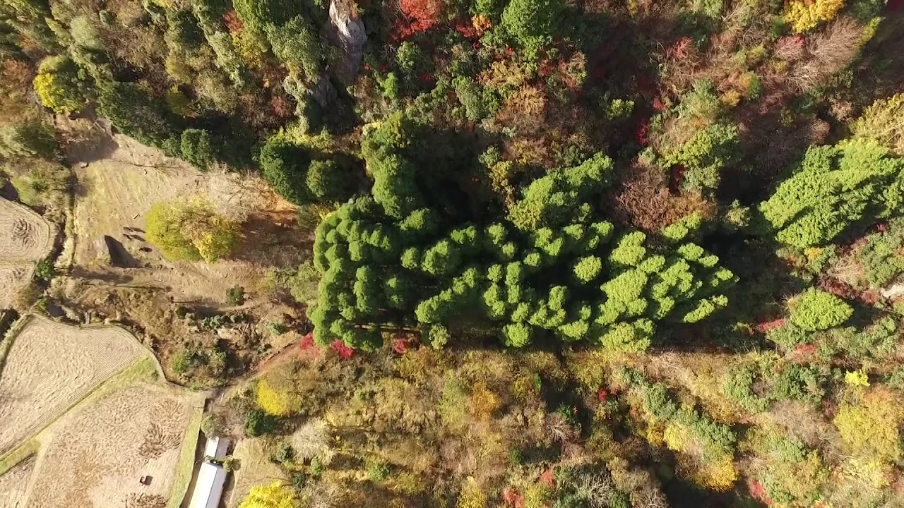 立羽田の景