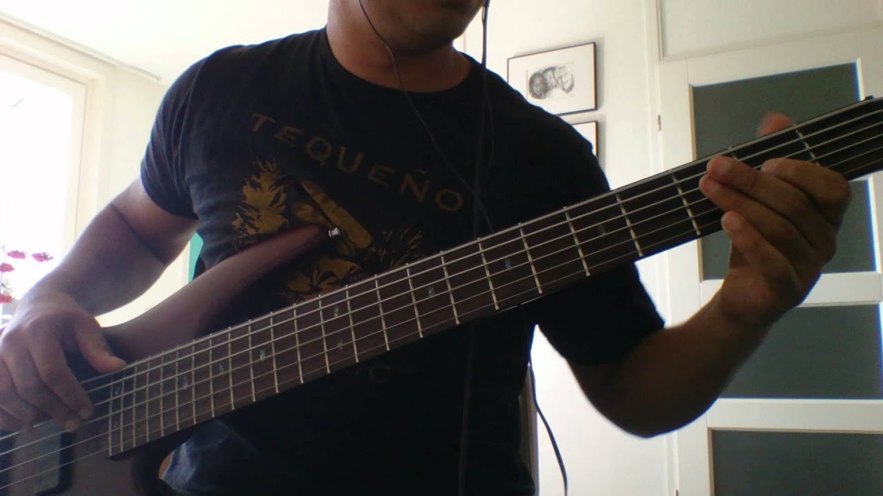 (COVER BAJO) LA TROPA BALLENATA - los caminos de la vida