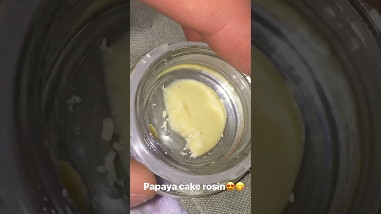 Papaya cake rosin😍🔥