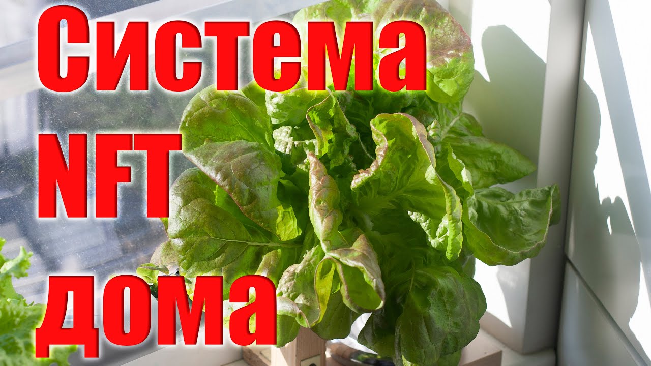 Гидропоника. Система NFT дома/The Hydroponic NFT System