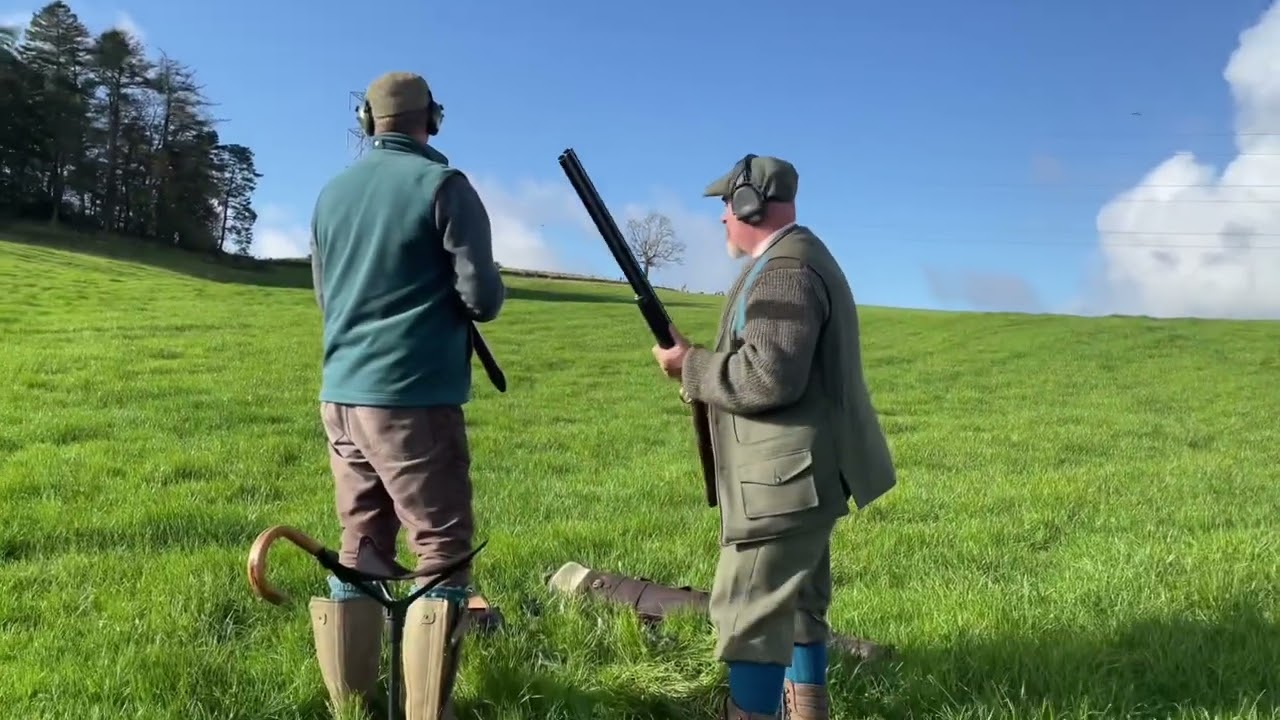 Pheasant Shooting In Cumbria