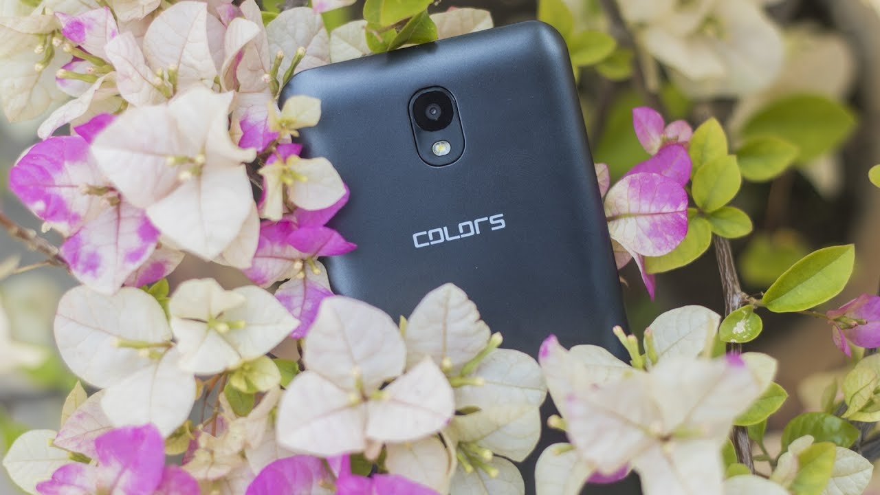 Colors Pride P50 Plus | Official Introduction