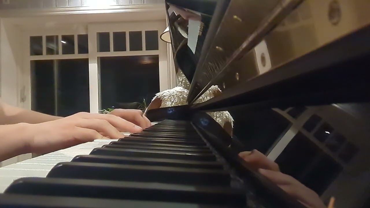 Piano thing 13
