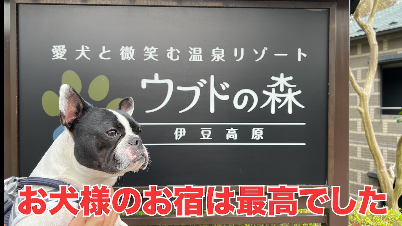 愛犬と日本屈指の高級宿に行ってみたらそこは異次元だった♡お犬様最高