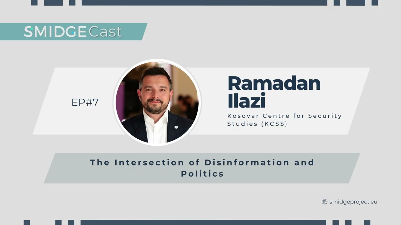 The Intersection of Disinformation and Politics