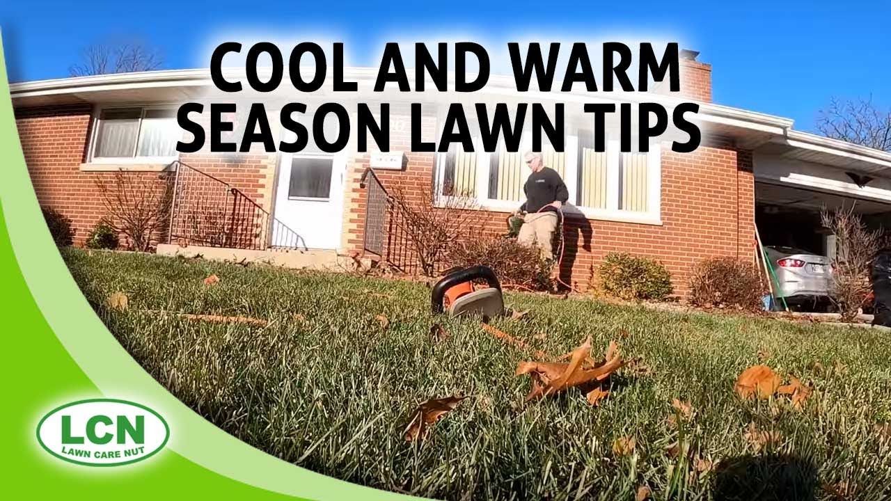 Winter Lawns Cool and Warm Season Tips and more with Allyn Hane, The Lawn Care Nut