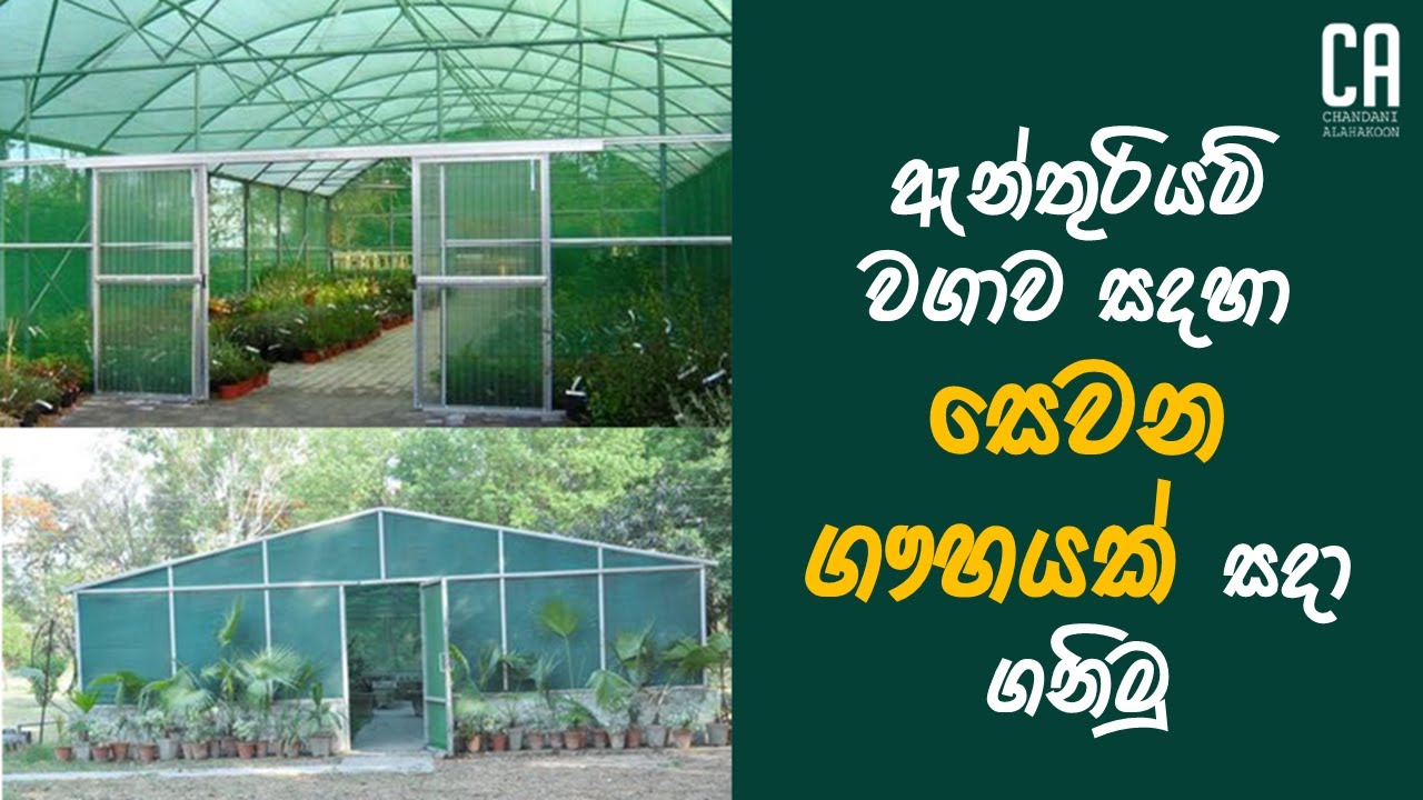 ඇන්තූරියම් වගාව සදහා සෙවන ගෘහයක් සදා ගනිමු | How to make a Net house for anthurium