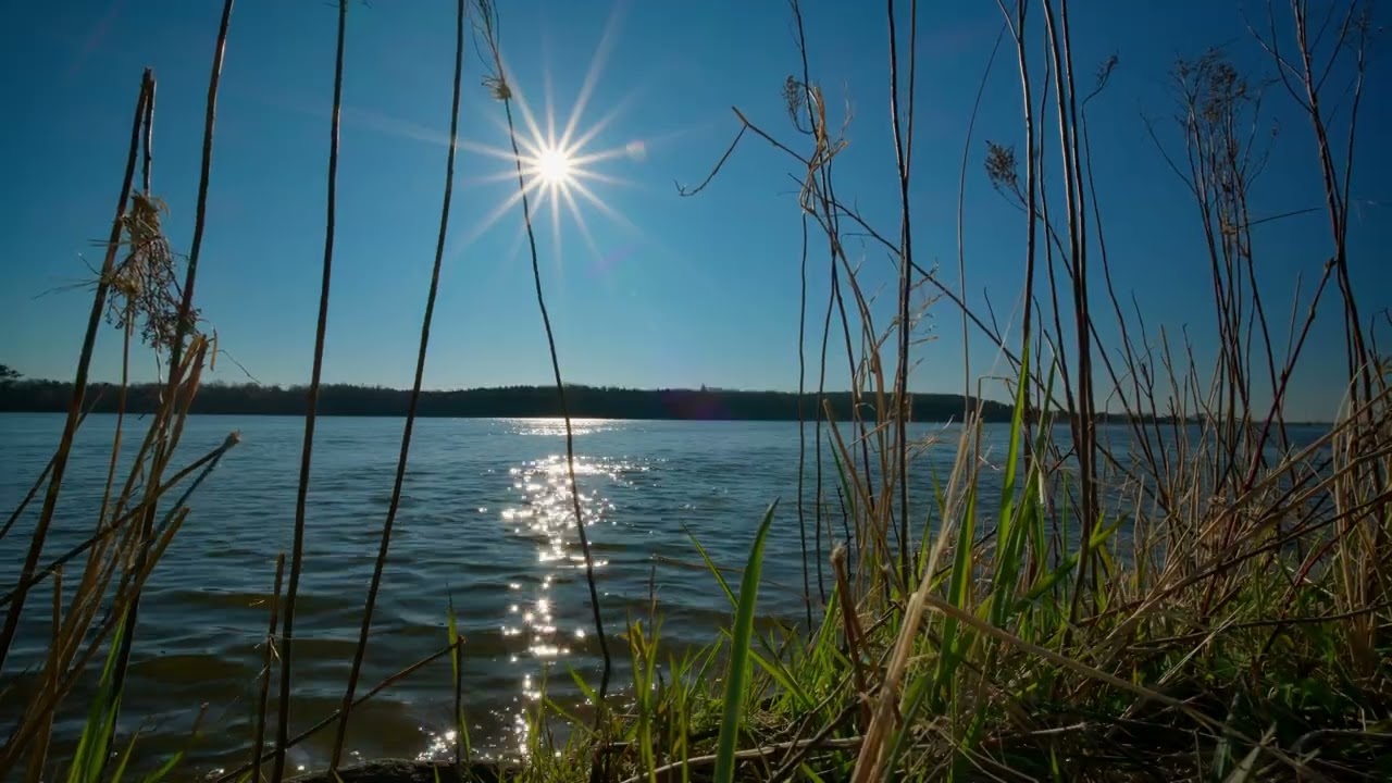 Calm sounds of our river - relaxation and sleep, sound of nature | white noise