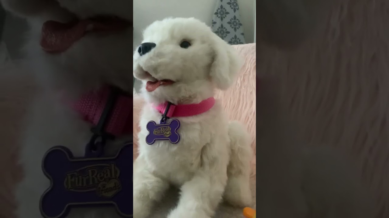 2011 Hasbro FurReal Friends Cookie My Playful Pup