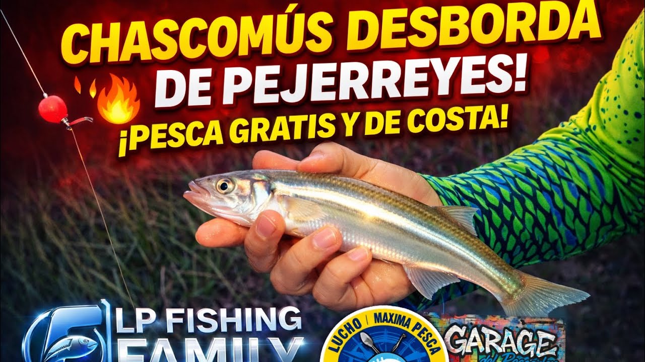 В Часкомусе водится огромное количество серебристой ставриды… прибрежная рыбалка бесплатна…