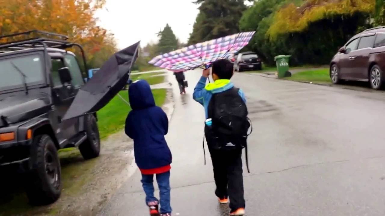 Mushroom (Inverted) Umbrellas