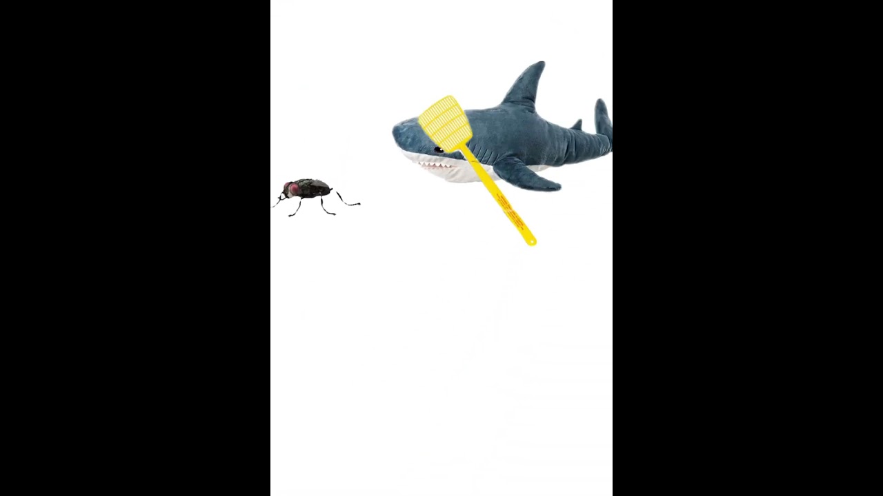 Bl&aring;haj defeats fly #shorts #blahaj  #fly