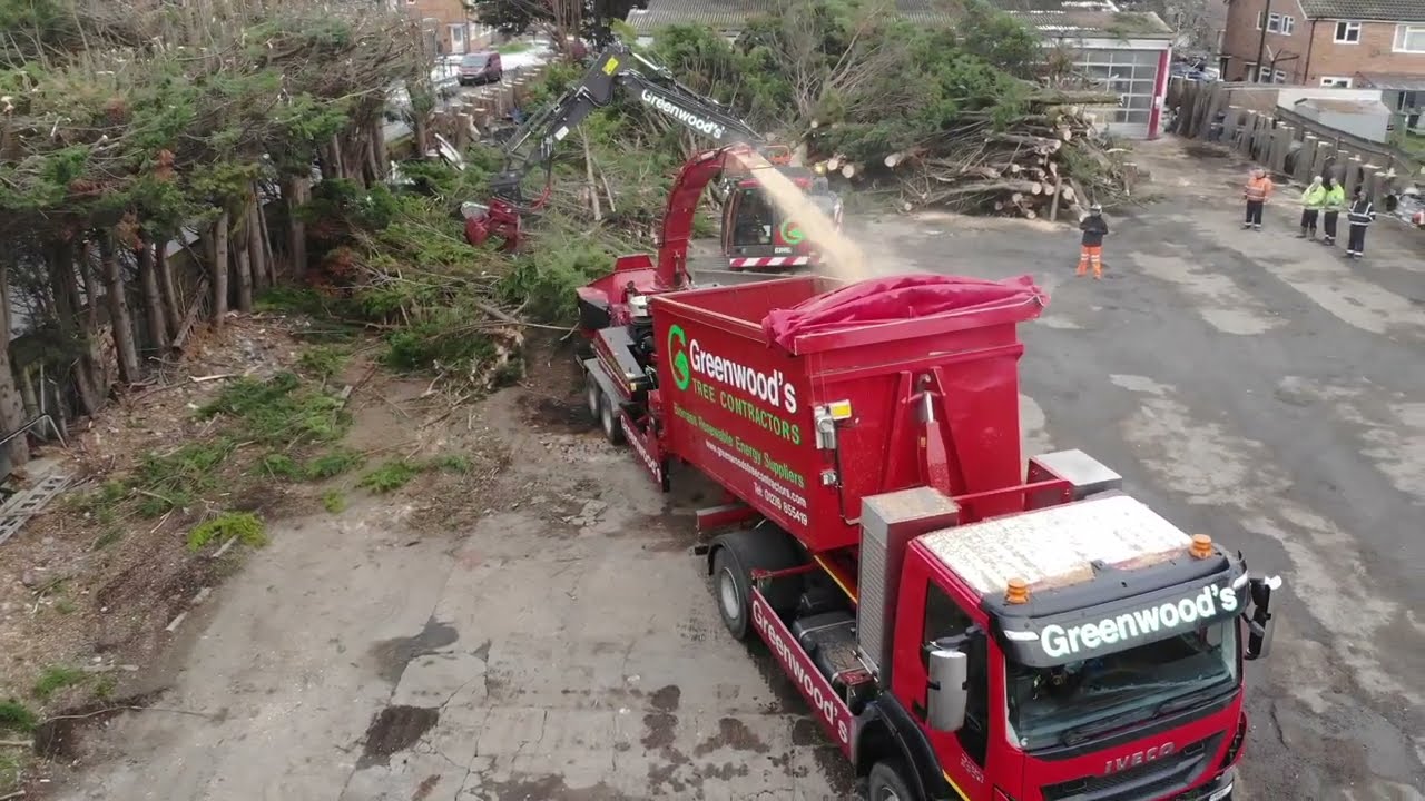 Hedge trimming with our Vosch 1900 and Morbark M20R Whole Tree Forestry Woodchipper in Epsom