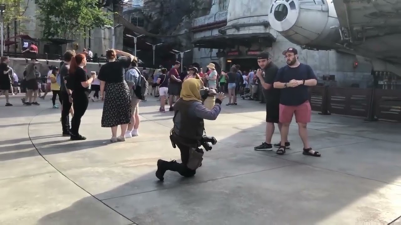 Double Marriage Proposal at Disney World
