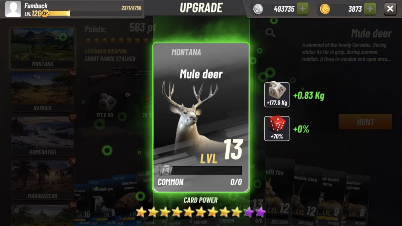 Hunting Clash &mdash; Mule Deer (Level 13) Maximum Upgrade!