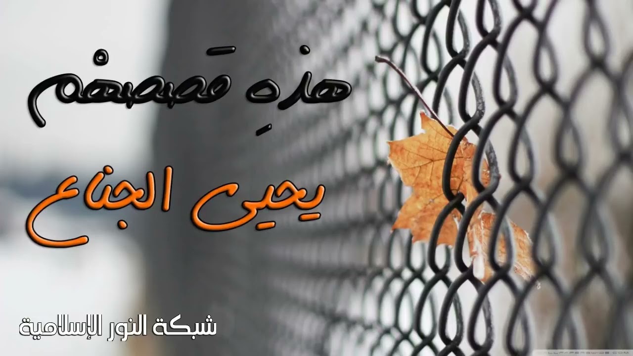 هذه قصصهم ||للشيخ يحيى الجناع