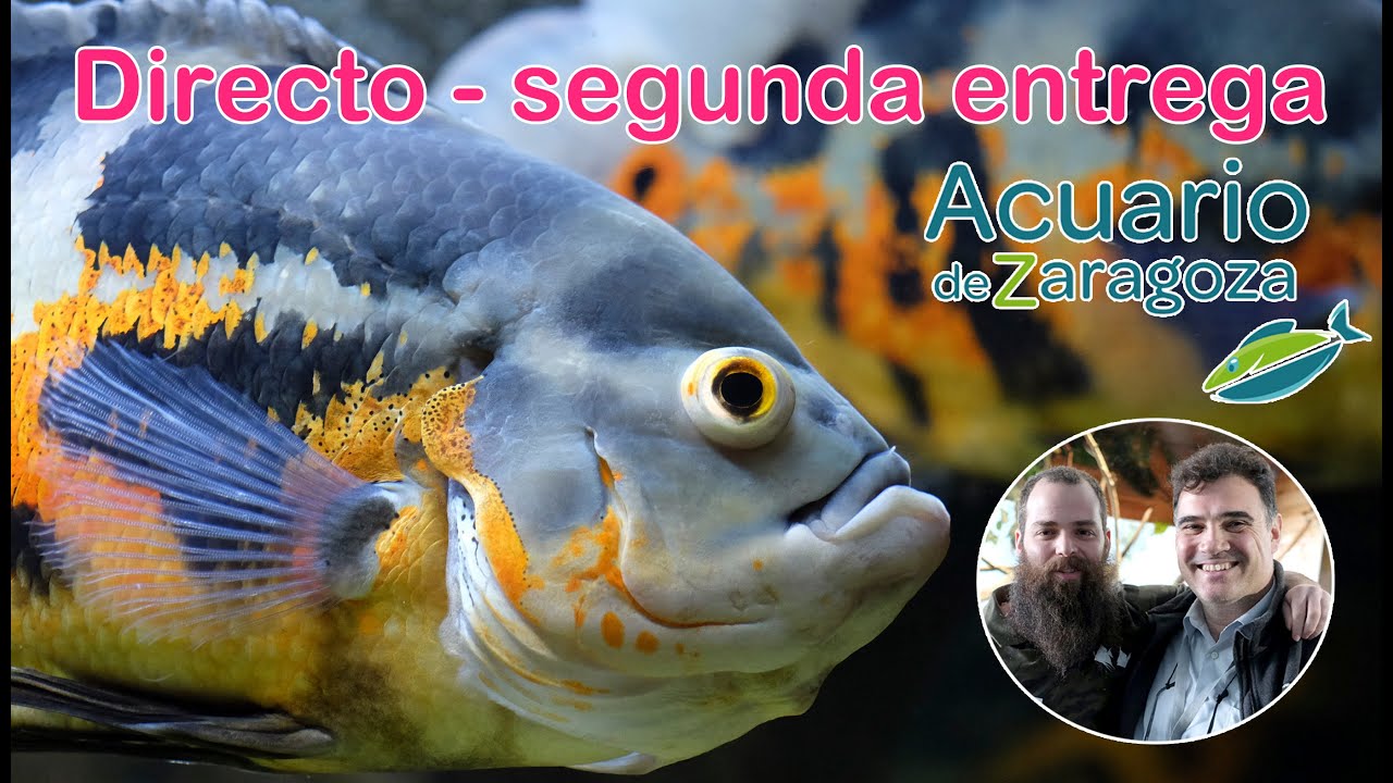 Directo completo desde el Acuario Fluvial de Zaragoza , segunda edición -  28 de Marzo 2021