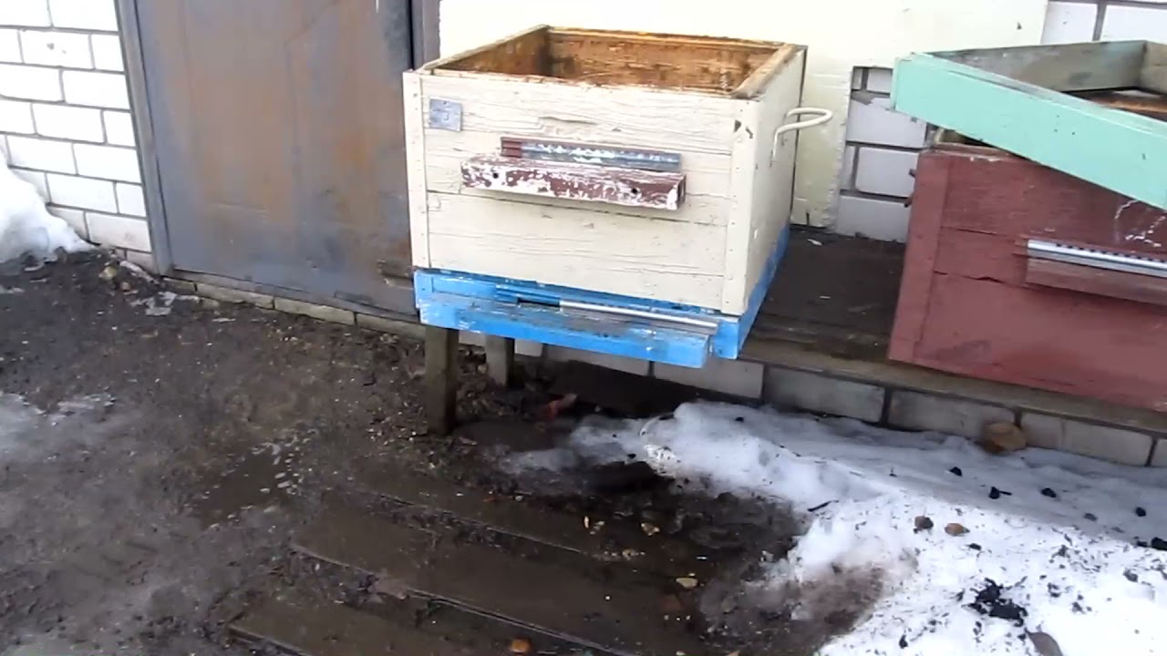 Пчеловождение в  12 рамочных ульях на двух корпусах с  надставками