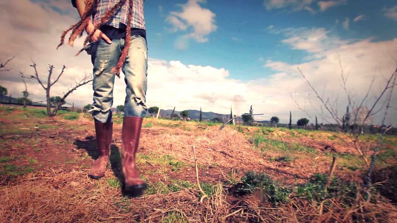 QUARTIERE COFFEE - Italian Reggae Familia - (Official videoclip HQ)