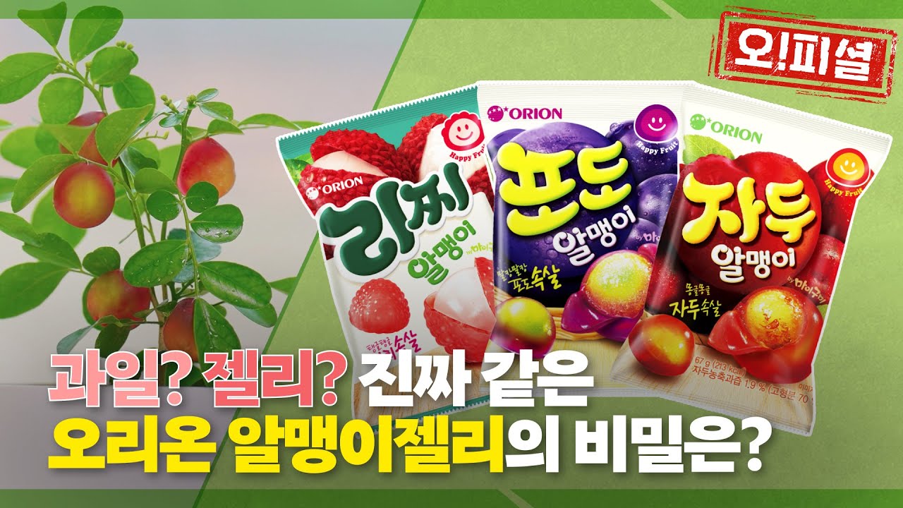 진짜 과일 같은 젤리가 있다? 쫄깃말캉 오리온 알맹이젤리 비법 대.공.개ㅣ오리온 공식썰 오!피셜 Ep.07 오리온 알맹이젤리