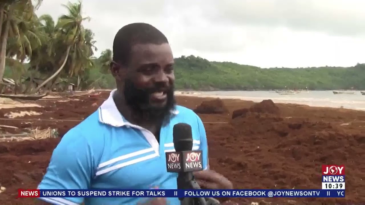 Climate Evidence: Brown seaweed invasion threatens livelihoods along Ghana's western coast