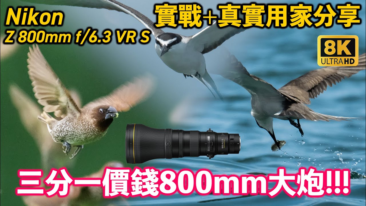 [8K] 只需三分一價錢大炮? Nikon Z 800mm f/6.3 VR S 海陸空實戰+真實用家分享