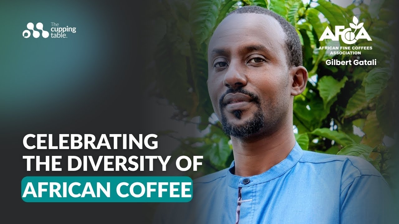 AFCA | Celebrating the Diversity of African Coffee